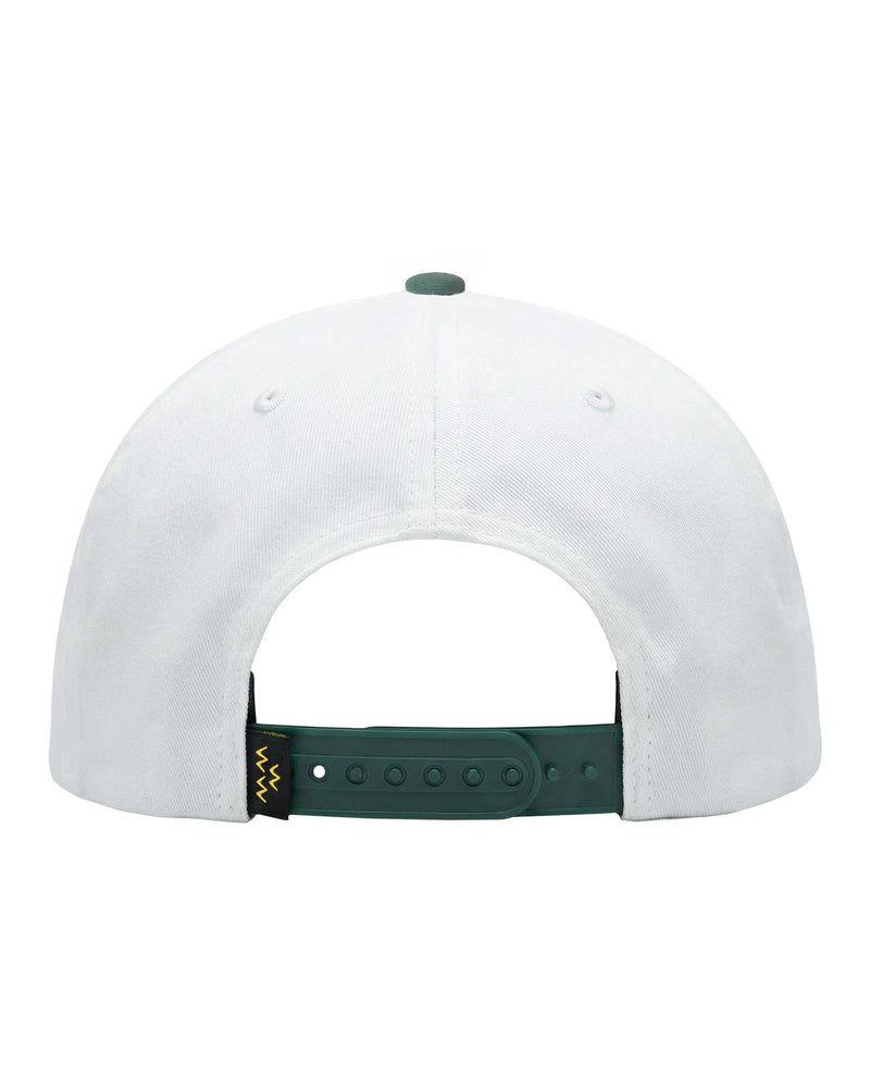 Load image into Gallery viewer, Birds of Condor AZ Society Snapback
