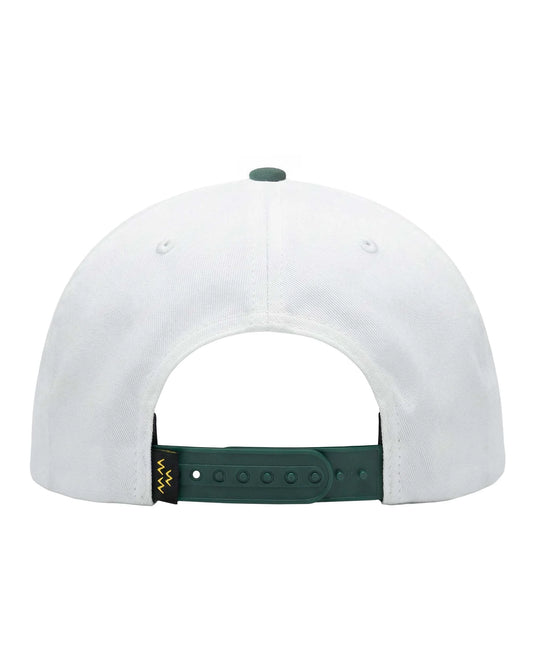 Birds of Condor AZ Society Snapback